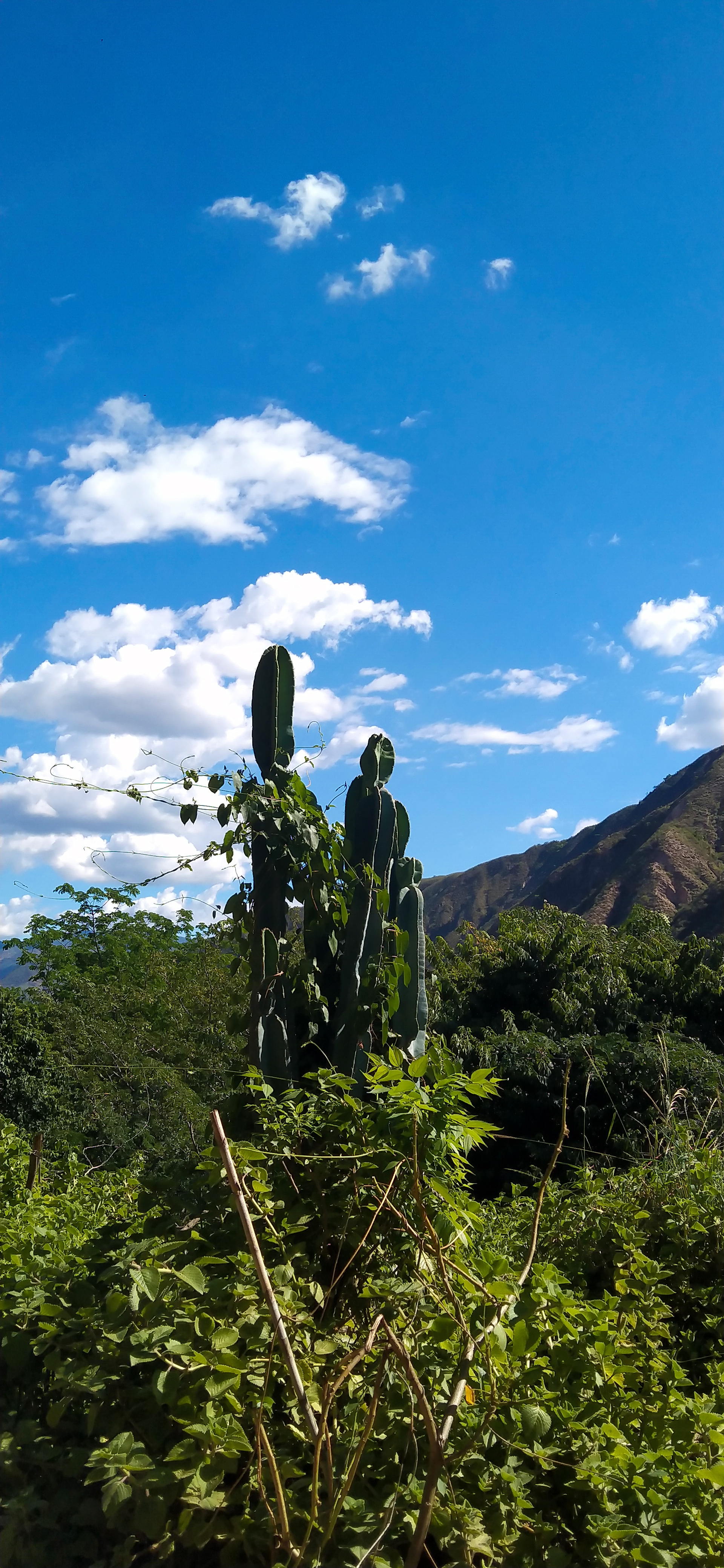 Cañón del Chicamocha