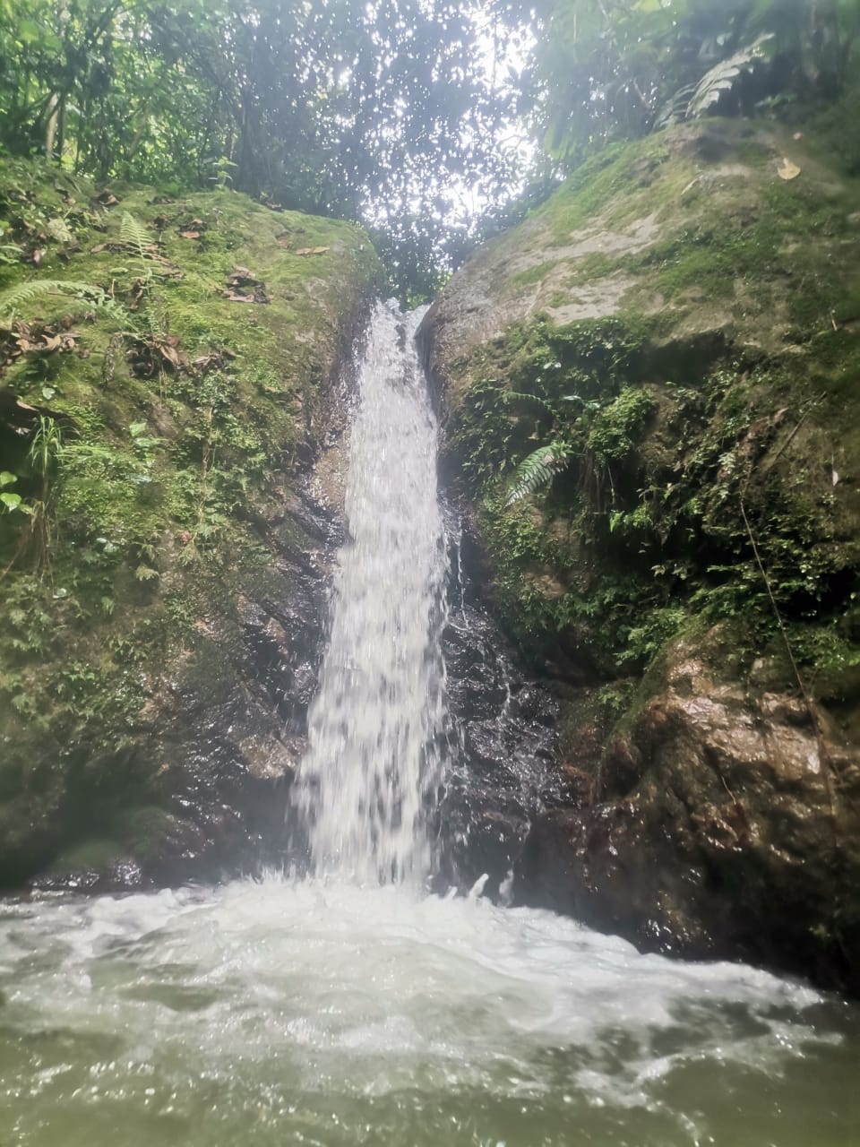 Cascada en el sendero natural como símbolo del camino espiritual que fluye y no se pierde