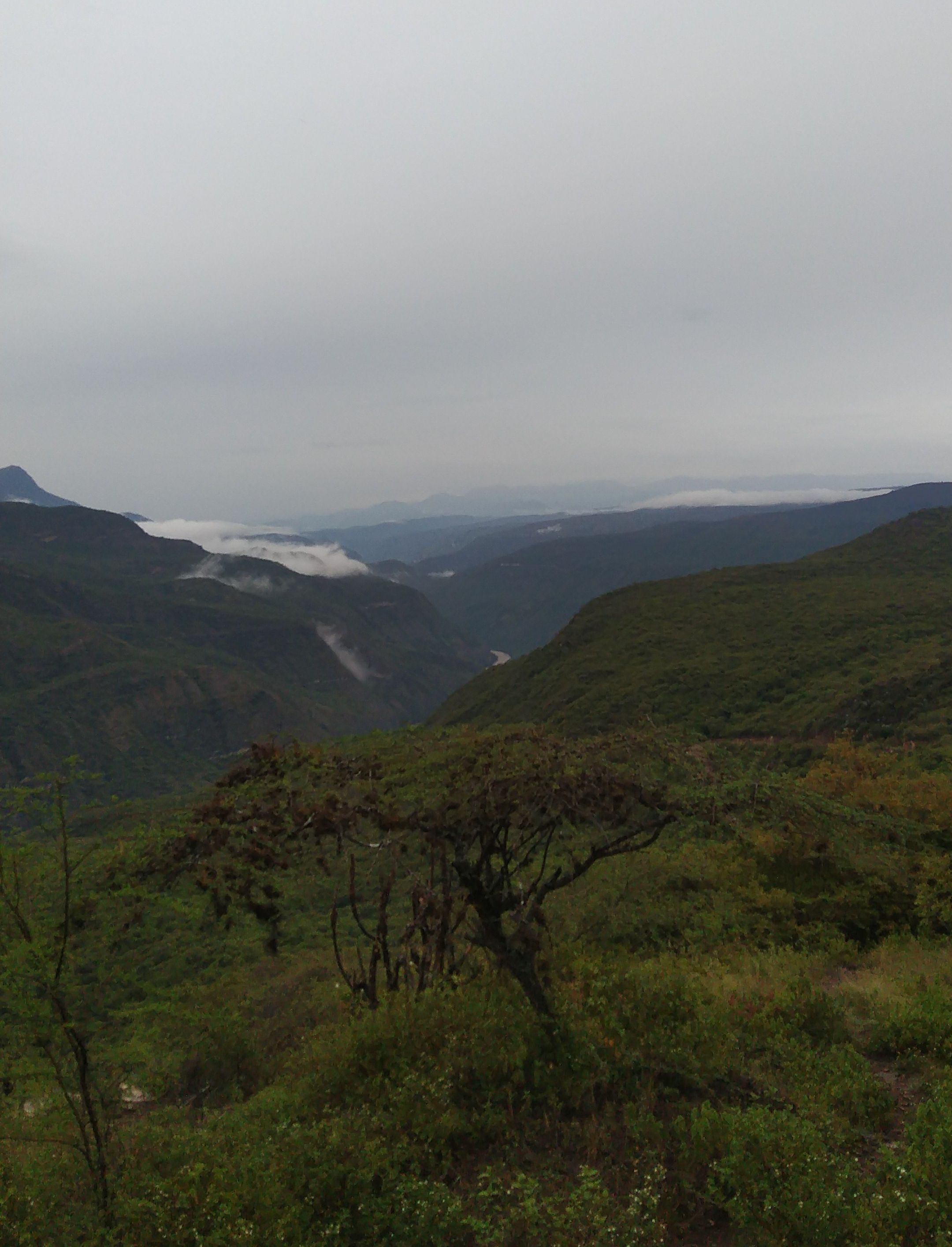 Donde duele, nace el camino