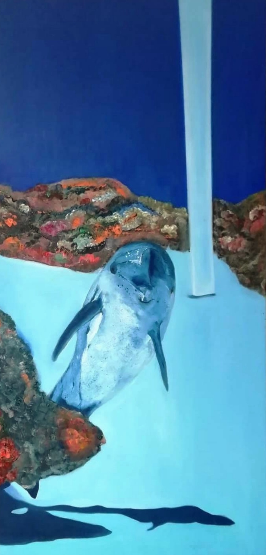 mi sombra me seguia pero no me hundia Augusto Silva