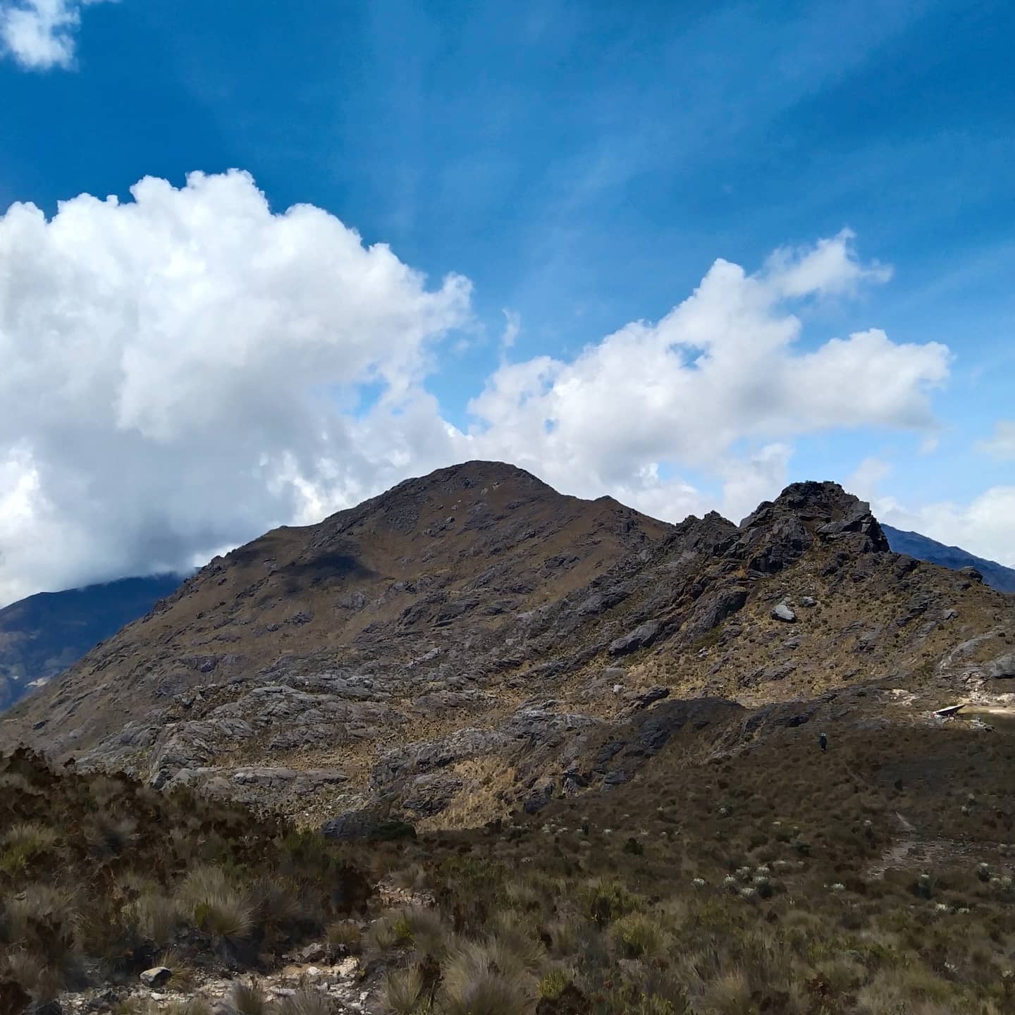 Geometría Sagrada en la Naturaleza - Patrones orgánicos del páramo de Santurbán Colombia - Arte espiritual ASIDU.ART